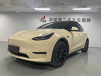 model y